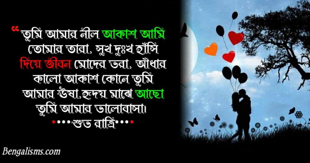 bangla good night shayari