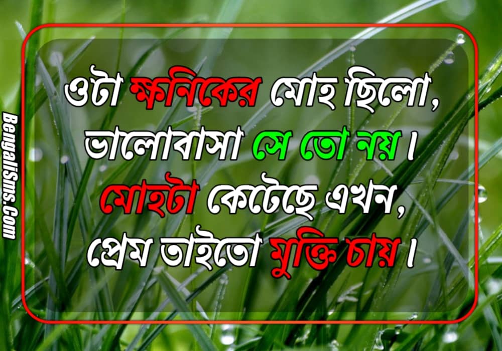 New Sad Poem In bangla