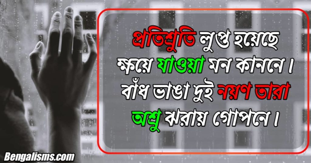 Sad Poem In Bengali