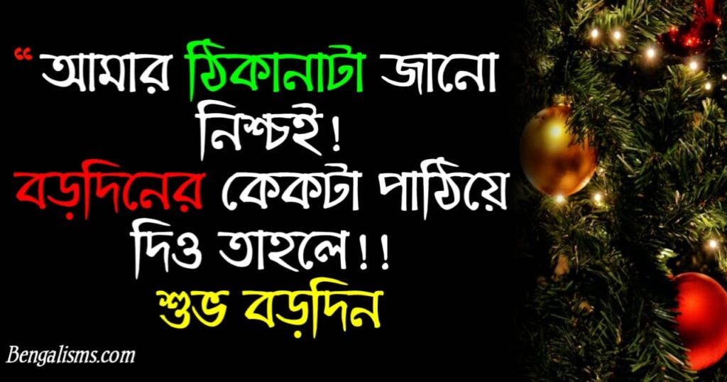 merry christmas wishes bangla