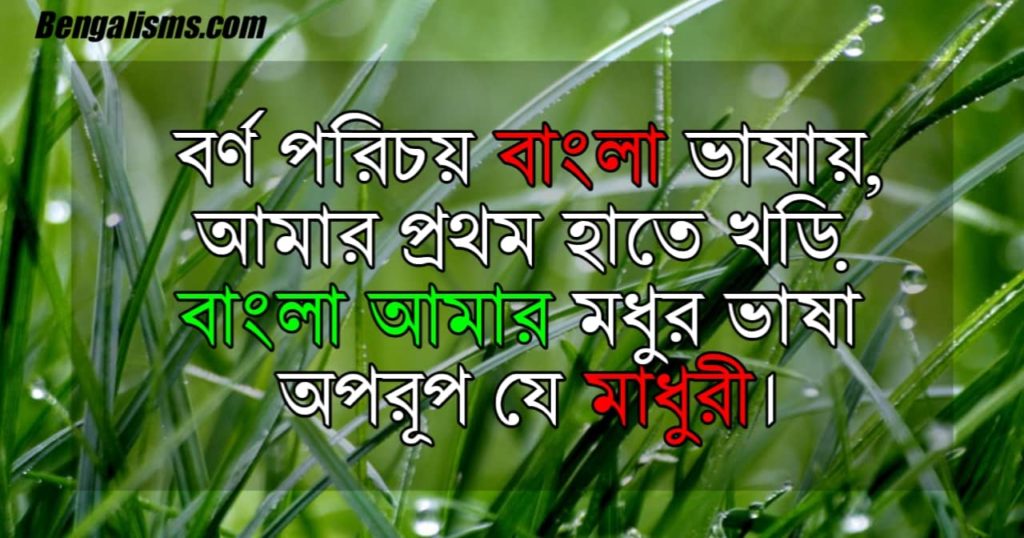 21st february quotes in bangla