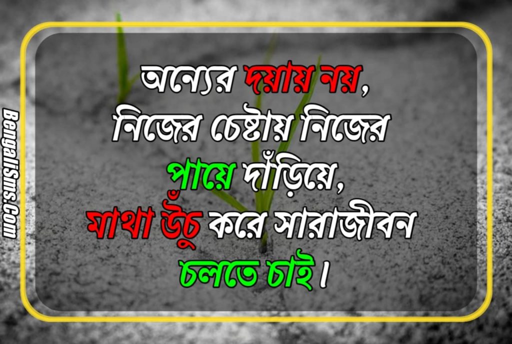 bangla motivational quotes