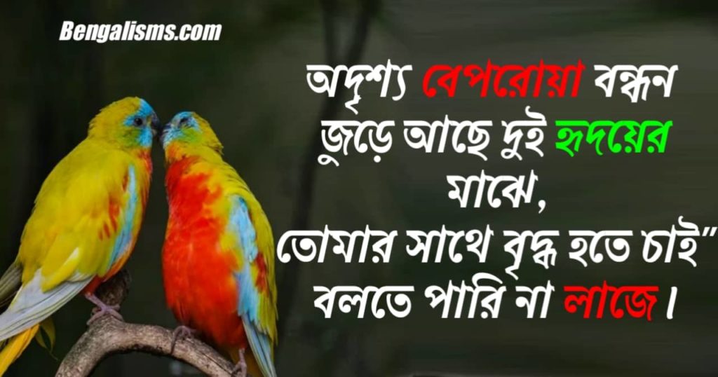 bangla caption love