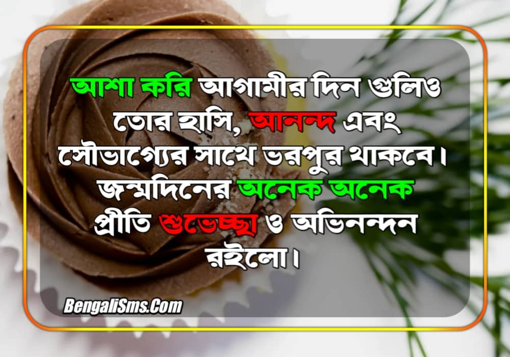 bangla-happy-birthday-sms-for-sister-brother-daughter-son-wife