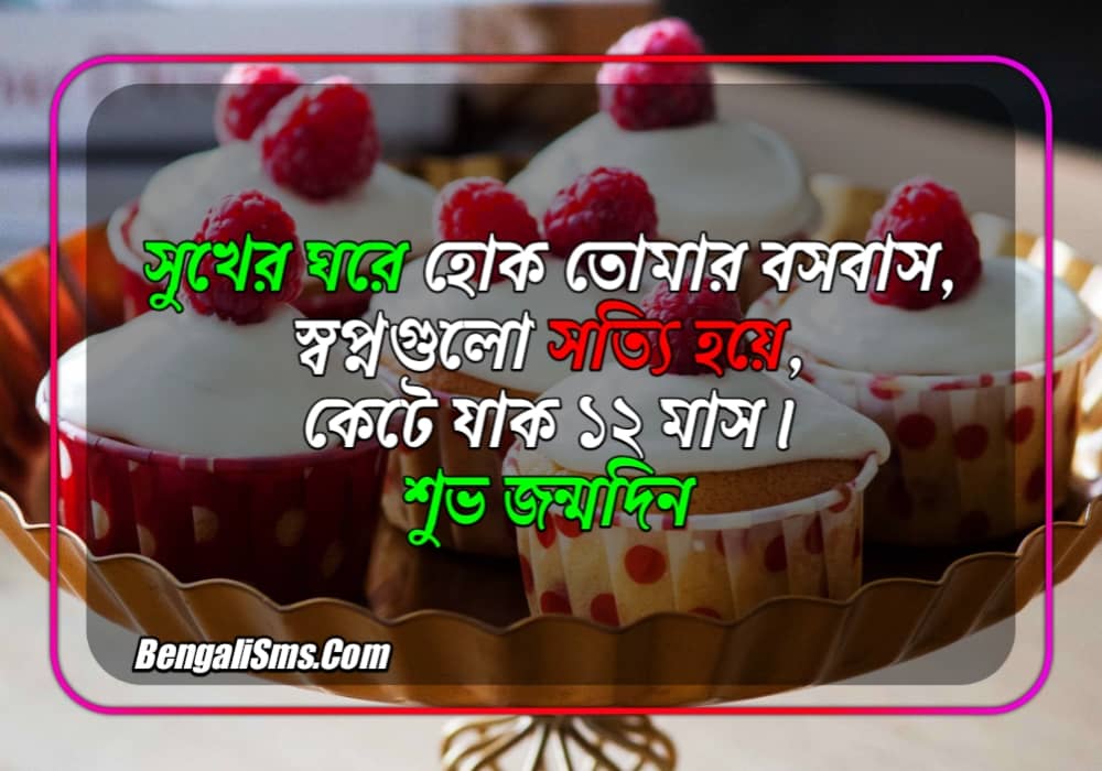 friend birthday status bangla