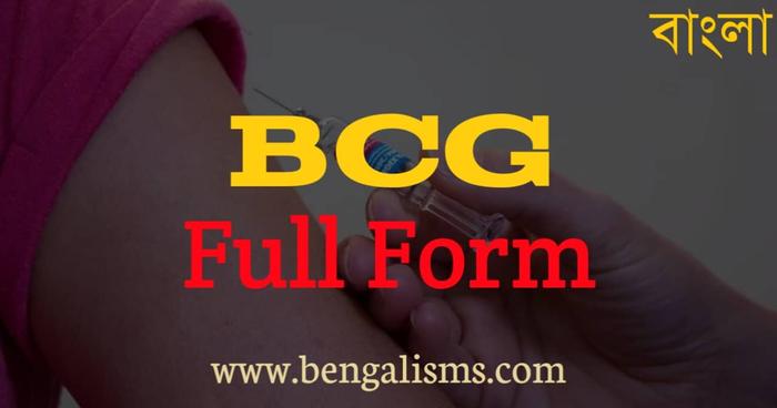 BCG Full Form In Bengali