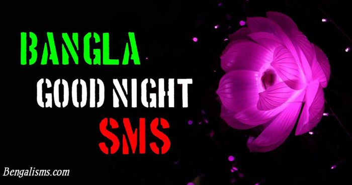 Sweet Bangla Good Night Sms | Bangla Good Night kobita & Shayari