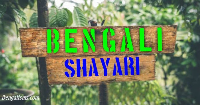 New Bangla Shayari In 2022 | Bengali Romantic Shayari