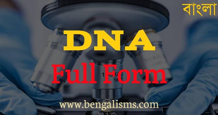 DNA Full Form In Bengali