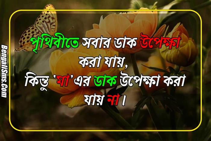 bengali mothers day quotes