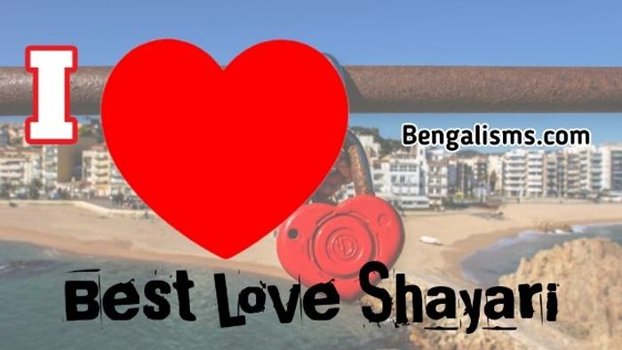 140+ Romantic Love Shayari In Bengali | Bangla Bhalobasa Shayari