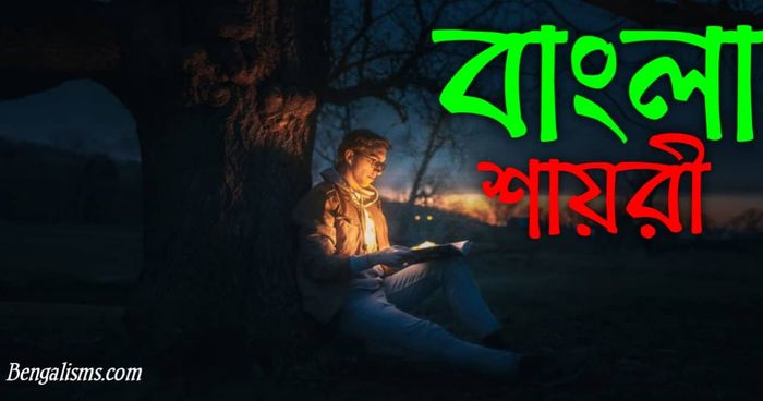 ৭৫ টি সেরা বাংলা সাইরি | বাংলা রোমান্টিক সাইরি ও বাংলা দুঃখের শায়রি