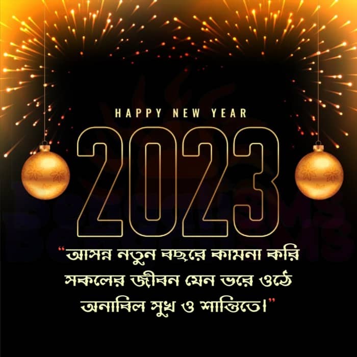 Happy New Year 2023 Status in Bangla